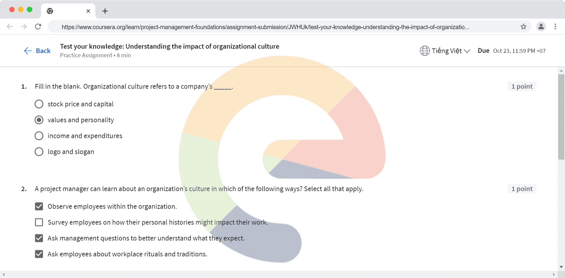 Test your knowledge: Understanding the impact of organizational culture