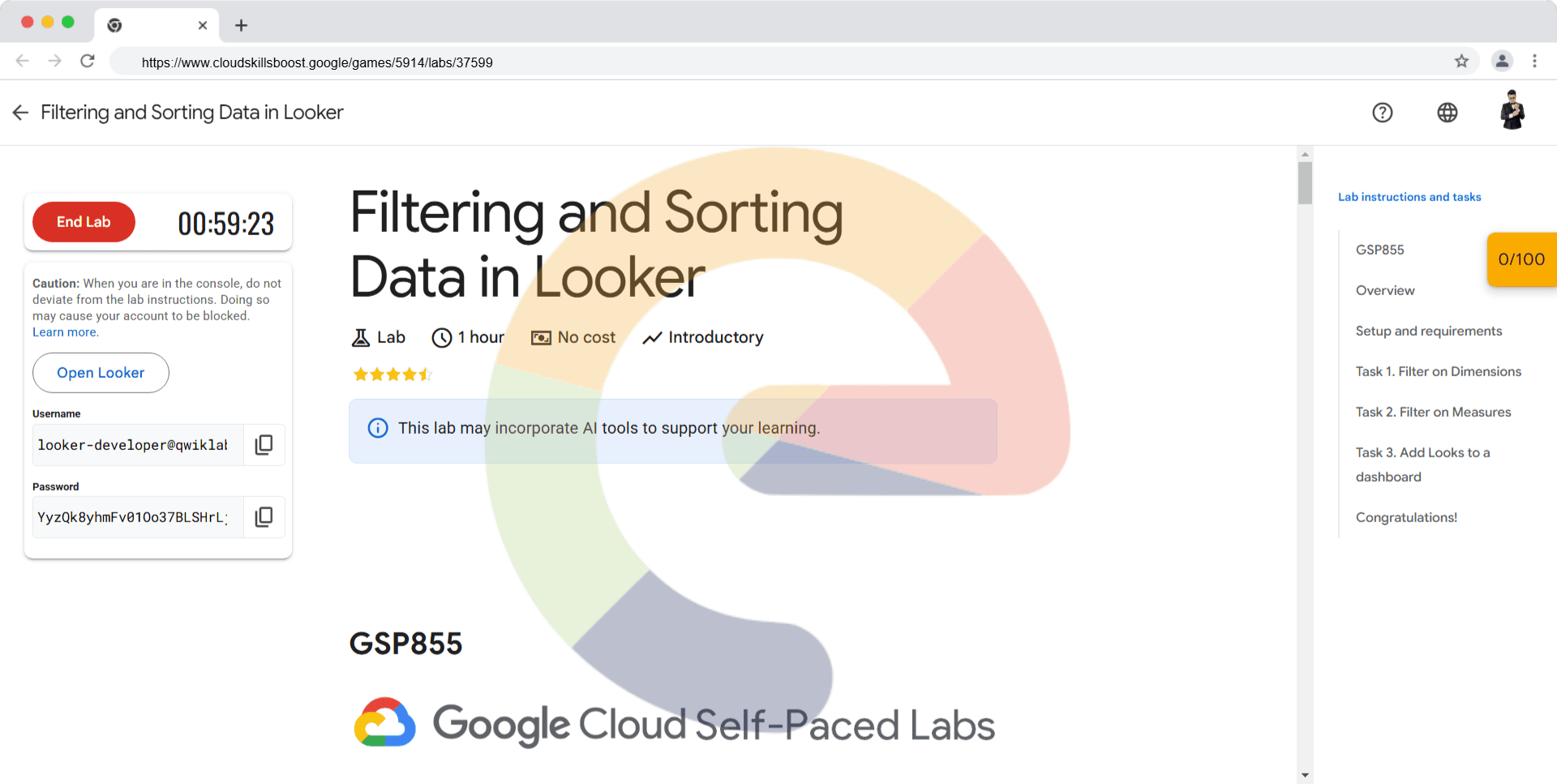 Filtering and Sorting Data in Looker - GSP855