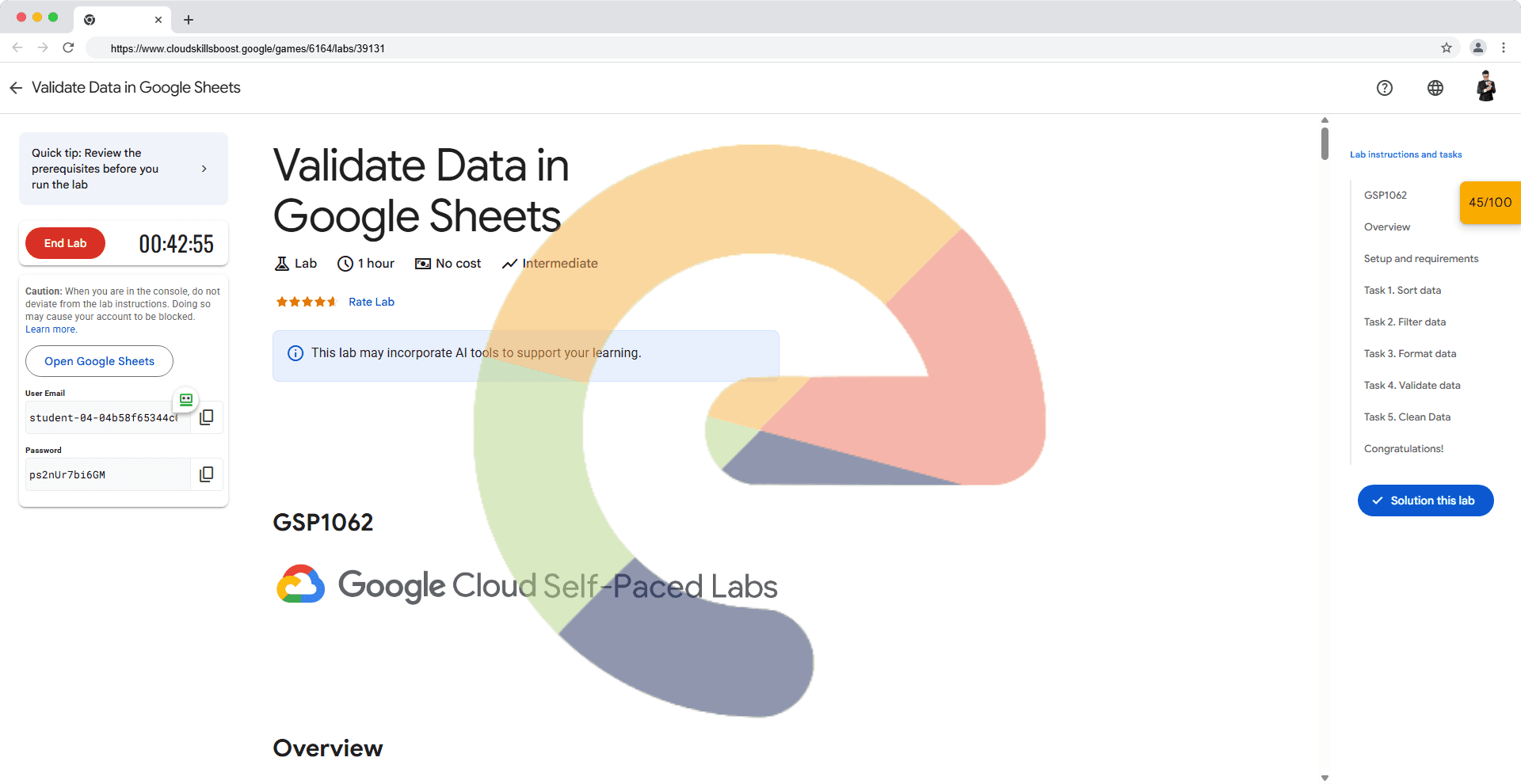 Validate Data in Google Sheets - GSP1062