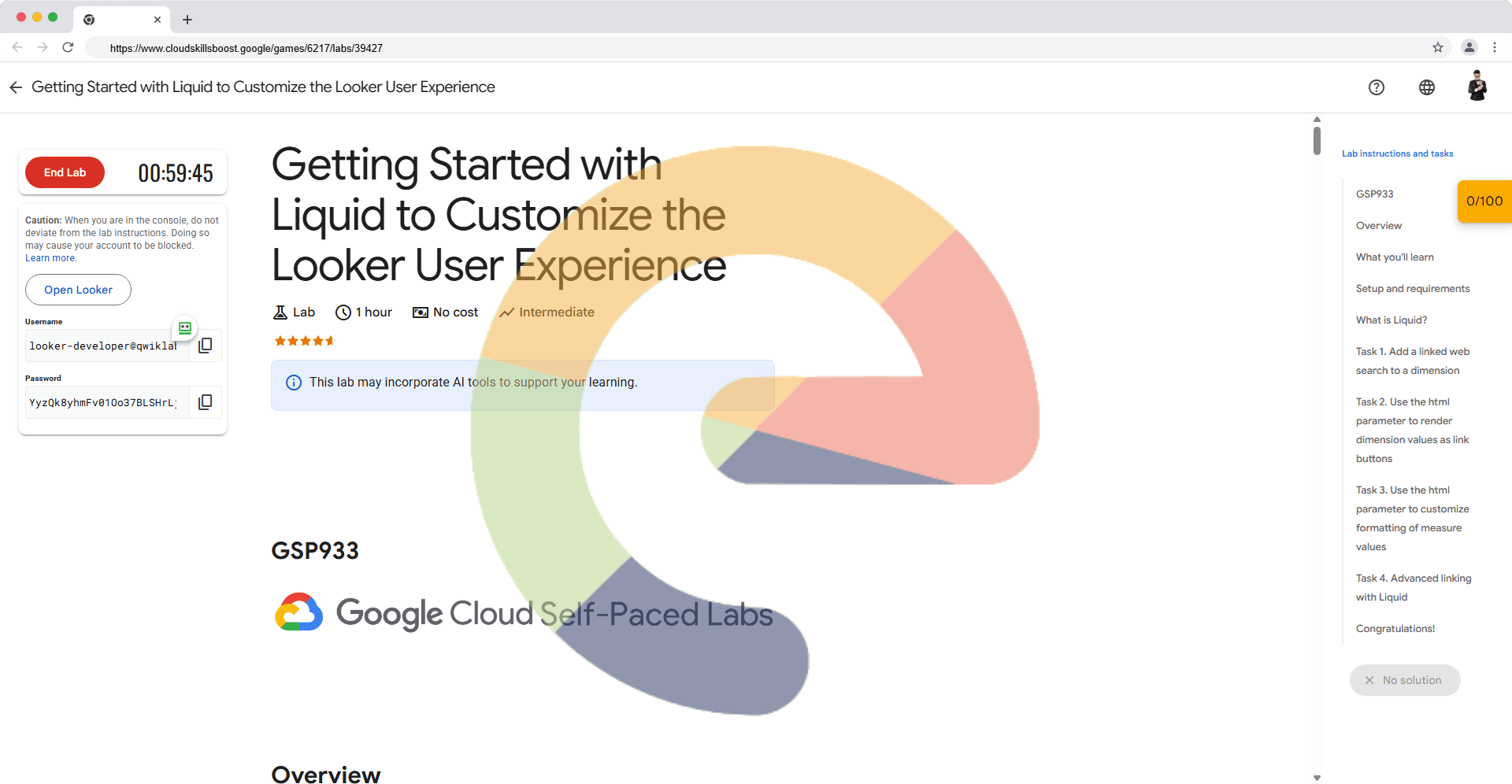 Getting Started with Liquid to Customize the Looker User Experience - GSP933