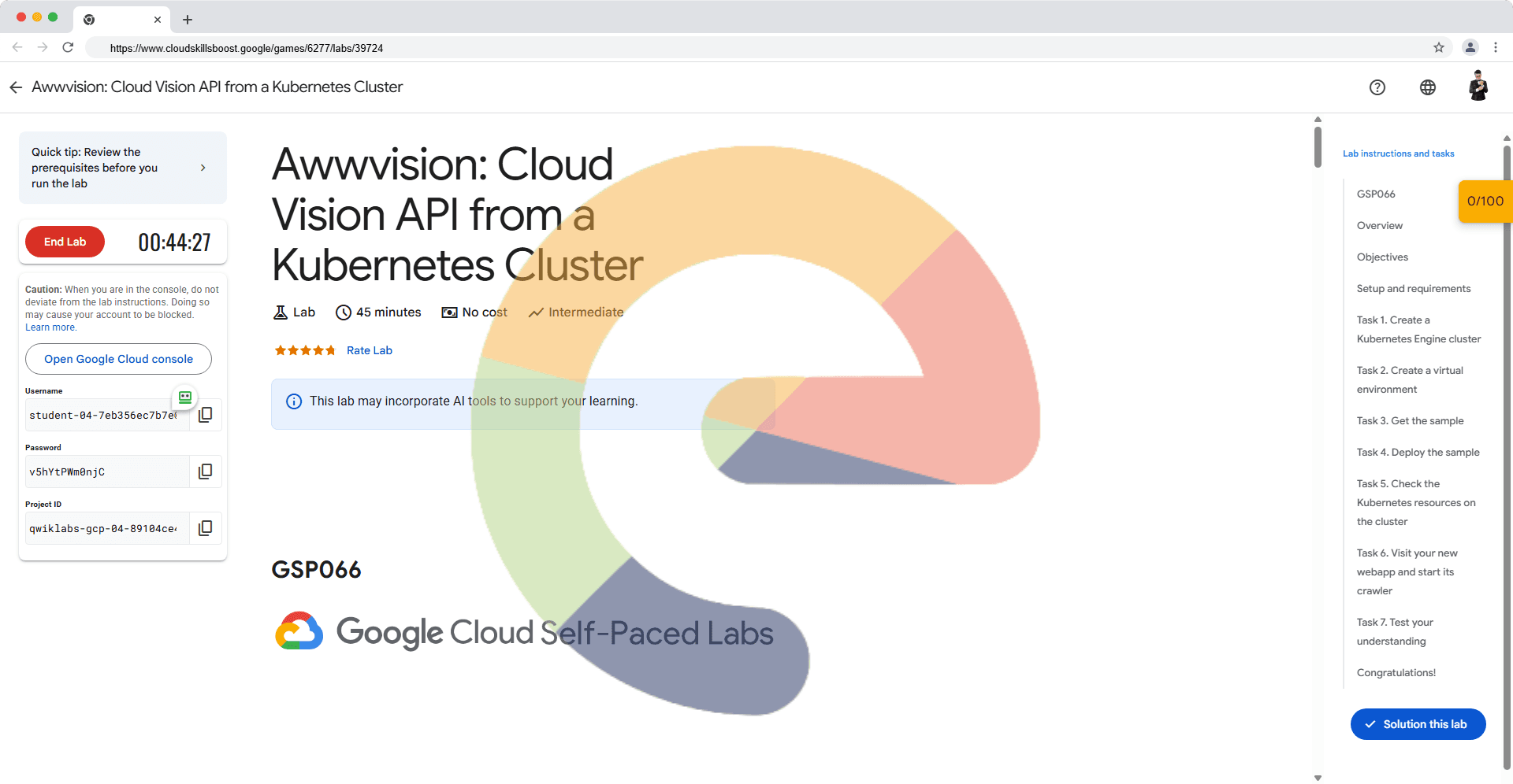 Awwvision: Cloud Vision API from a Kubernetes Cluster - GSP066