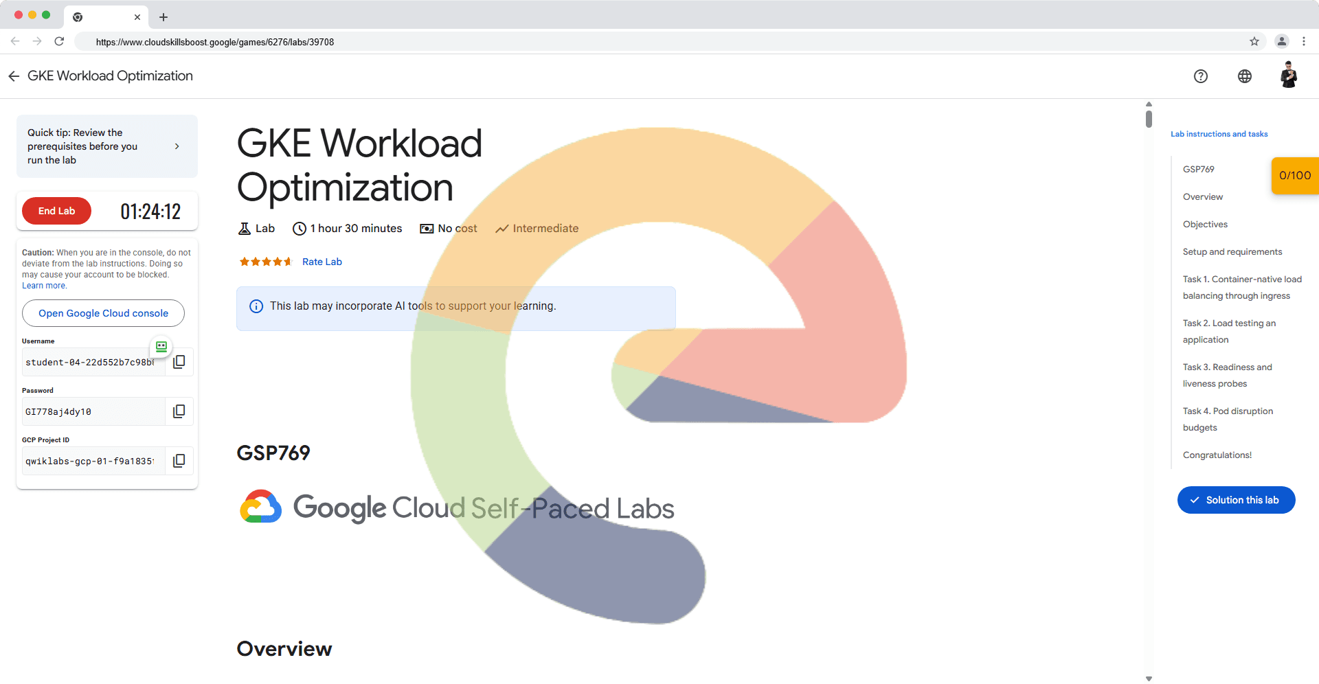 GKE Workload Optimization - GSP769