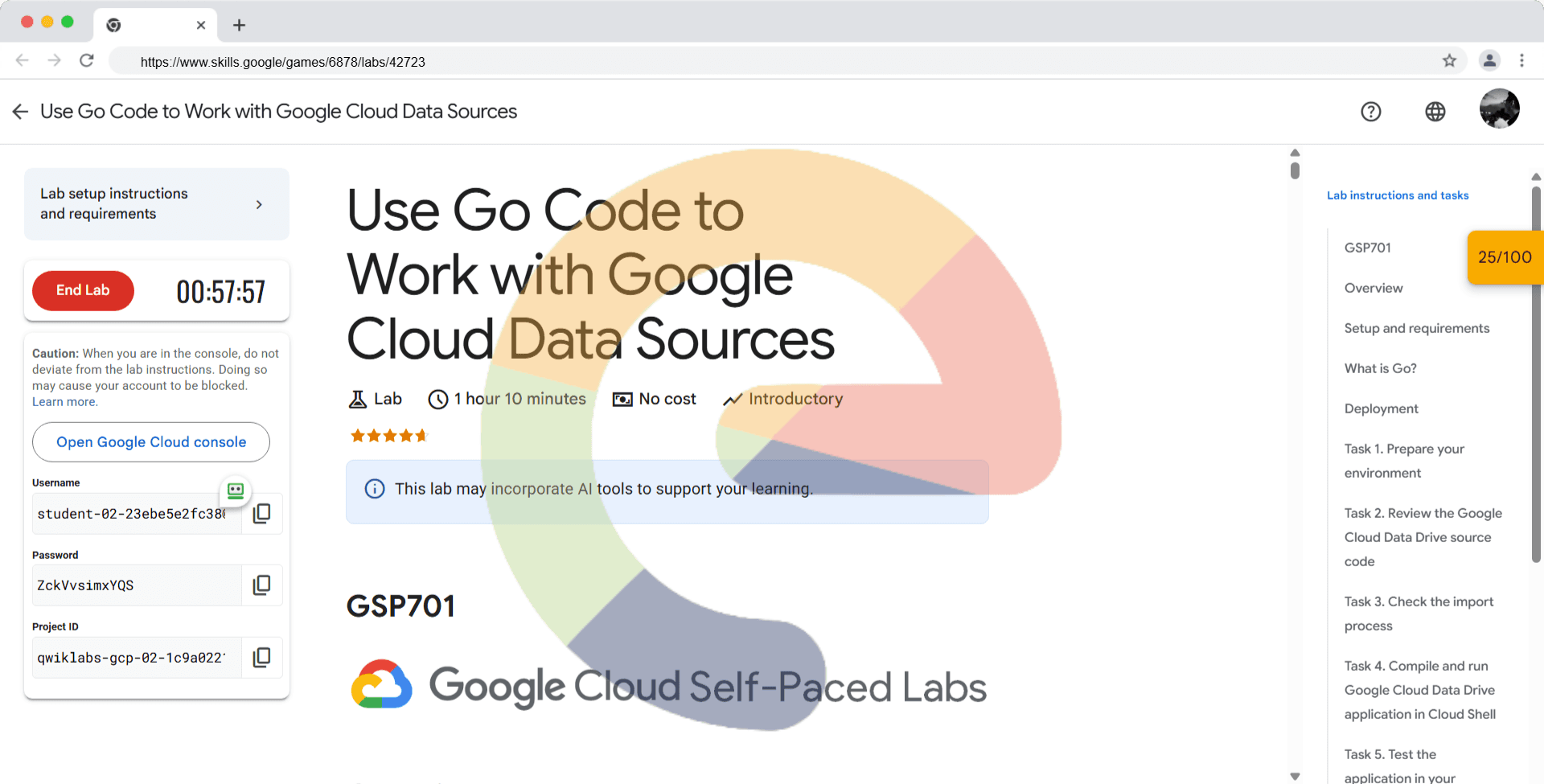 Use Go Code to Work with Google Cloud Data Sources - GSP701
